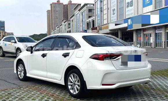 Buy Used Toyota Corolla White Car in Abetifi in Eastern