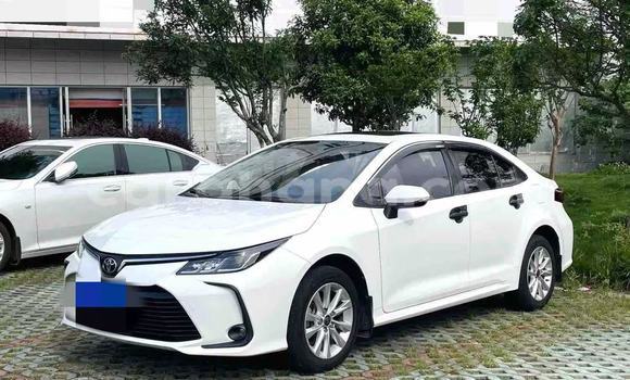 Buy Used Toyota Corolla White Car in Abetifi in Eastern Buy Used Toyota Corolla White Car in Abetifi in Eastern
