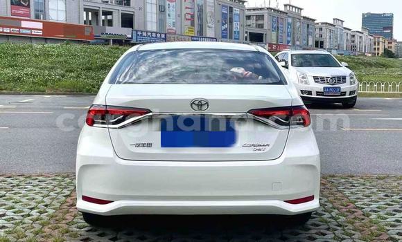 Buy Used Toyota Corolla White Car in Abetifi in Eastern Buy Used Toyota Corolla White Car in Abetifi in Eastern
