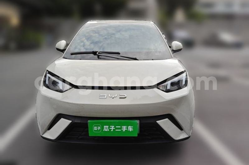 Big with watermark byd seagull greater accra accra 61026
