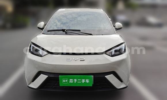 Buy Used BYD Seagull White Car in Accra in Greater Accra