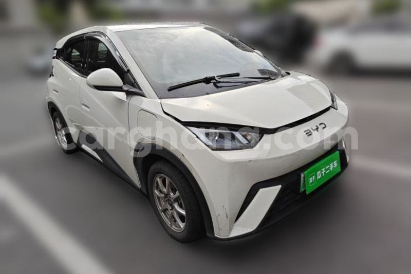 Big with watermark byd seagull greater accra accra 61026