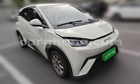 Buy Used BYD Seagull White Car in Accra in Greater Accra Buy Used BYD Seagull White Car in Accra in Greater Accra