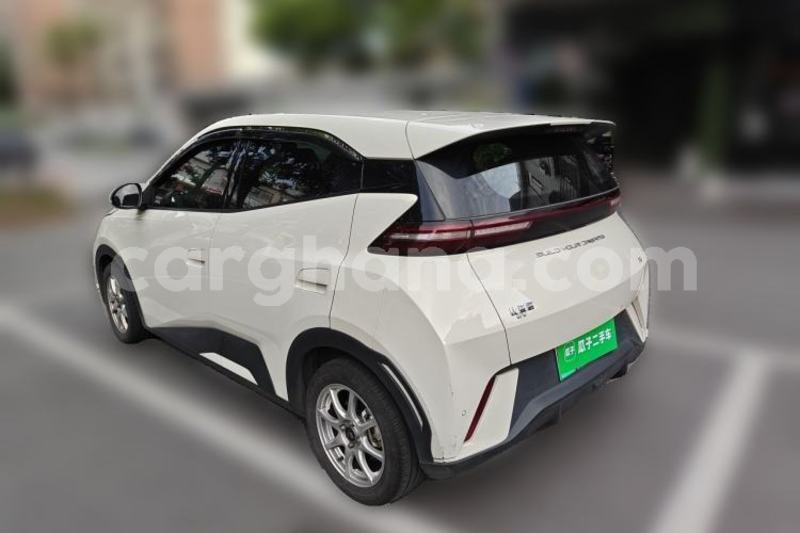 Big with watermark byd seagull greater accra accra 61026