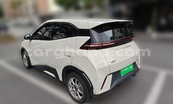 Buy Used BYD Seagull White Car in Accra in Greater Accra Buy Used BYD Seagull White Car in Accra in Greater Accra