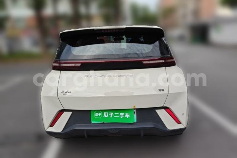 Big with watermark byd seagull greater accra accra 61026