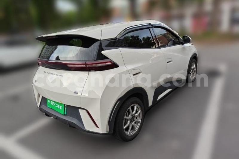 Big with watermark byd seagull greater accra accra 61026