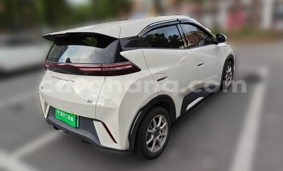 Buy Used BYD Seagull White Car in Accra in Greater Accra Buy Used BYD Seagull White Car in Accra in Greater Accra