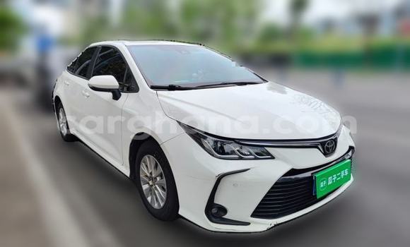 Buy Import Toyota Corolla White Car in Accra in Greater Accra Buy Import Toyota Corolla White Car in Accra in Greater Accra