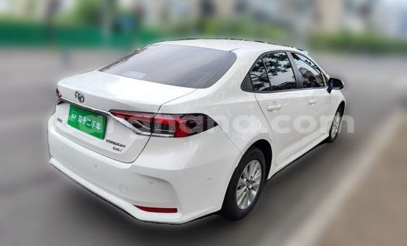 Buy Import Toyota Corolla White Car in Accra in Greater Accra Buy Import Toyota Corolla White Car in Accra in Greater Accra