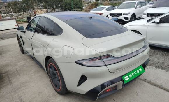Buy Import Xiaomi Su7 Other Car in Accra in Greater Accra Buy Import Xiaomi Su7 Other Car in Accra in Greater Accra