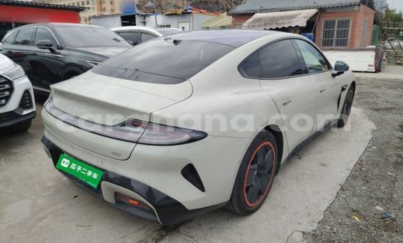 Buy Import Xiaomi Su7 Other Car in Accra in Greater Accra Buy Import Xiaomi Su7 Other Car in Accra in Greater Accra