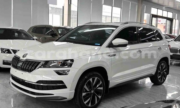 Buy Used Skoda Karoq White Car in Abetifi in Eastern