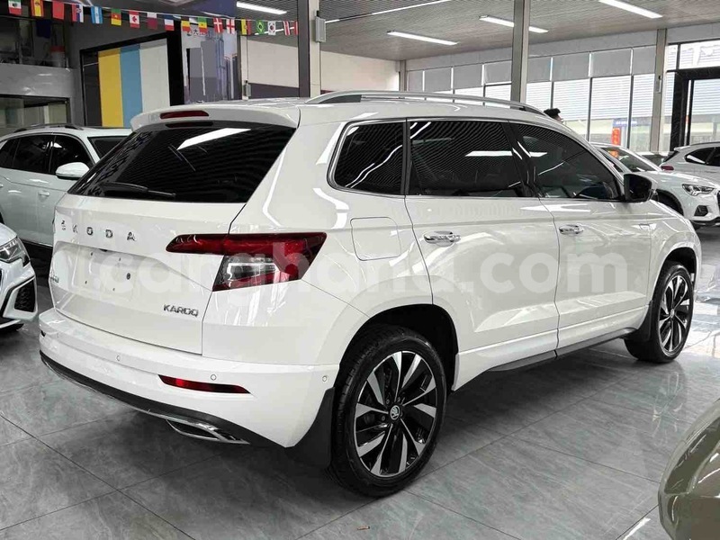 Big with watermark skoda karoq eastern abetifi 61053