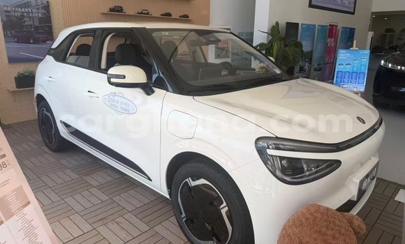 Buy New DongFeng Namni01 White Car in Accra in Greater Accra Buy New DongFeng Namni01 White Car in Accra in Greater Accra