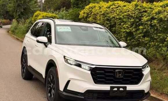 Buy Used Honda CR–V Other Car in Accra in Greater Accra