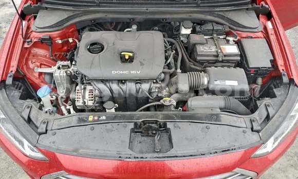 Buy Used Hyundai Elantra Red Car in Ada in Eastern Buy Used Hyundai Elantra Red Car in Ada in Eastern