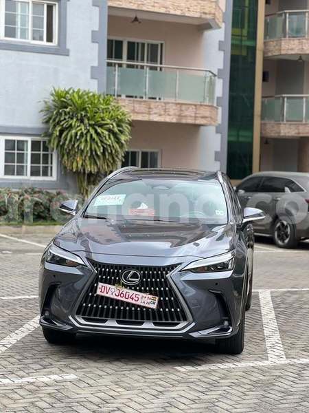 Big with watermark lexus nx greater accra accra 61190