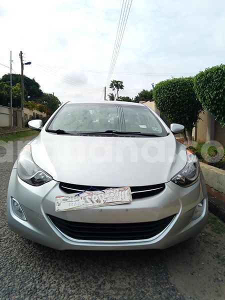 Big with watermark 42926834 10209622444397521 66397578761076736 n