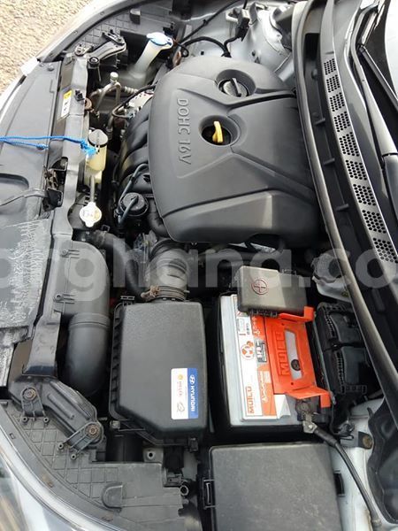 Big with watermark 43126124 10209622448757630 3841044803919806464 n