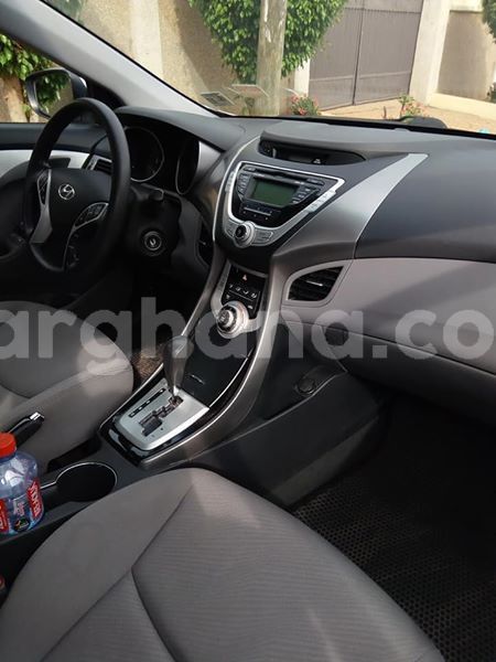 Big with watermark 42965555 10209622446797581 3822164067557048320 n