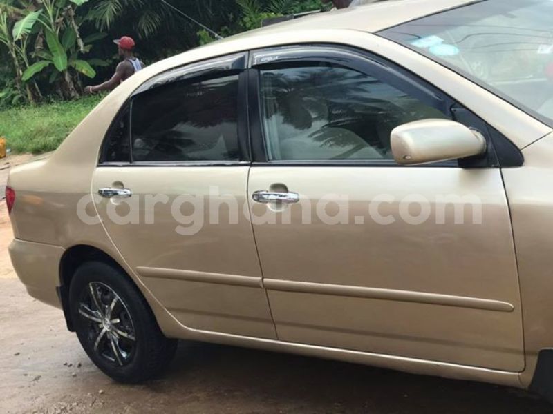 Big with watermark 48366745 2083326655067069 4753622764730974208 n