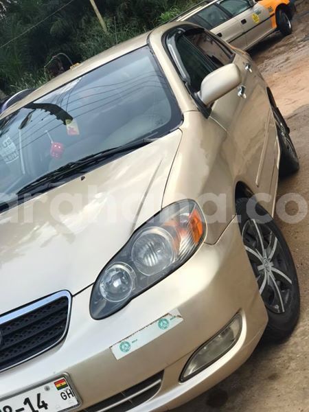 Big with watermark 48241610 2083326611733740 5044400747978948608 n