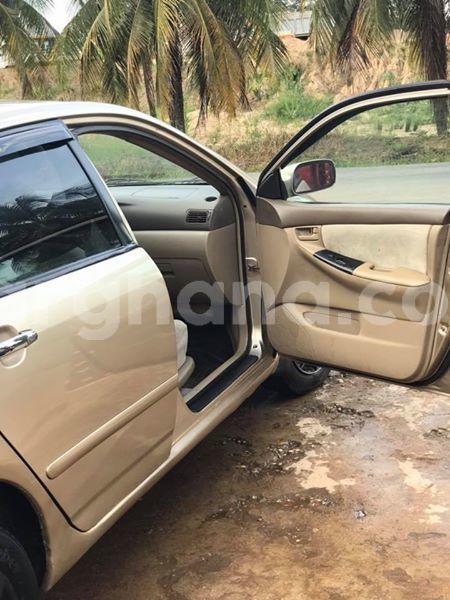 Big with watermark 48376178 2083326398400428 8572667496325185536 n