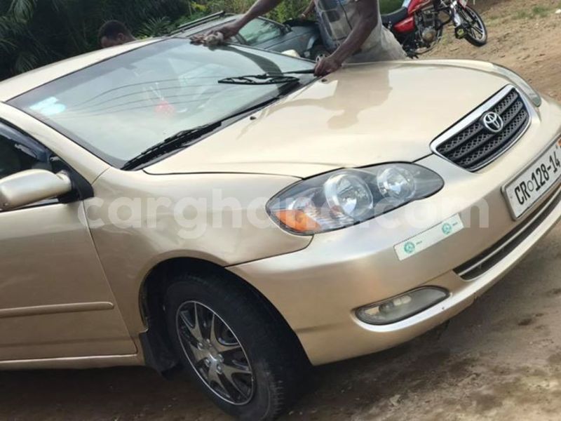 Big with watermark 48385445 2083326355067099 1923318009057771520 n