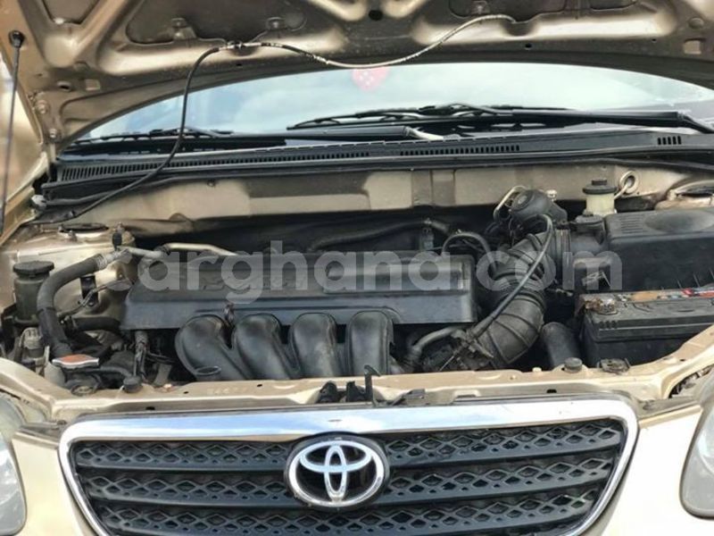 Big with watermark 48326977 2083326321733769 6565165014414524416 n