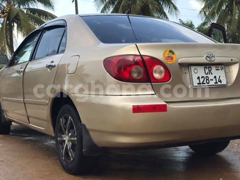 Big with watermark 48360465 2083326285067106 2217819063231447040 n