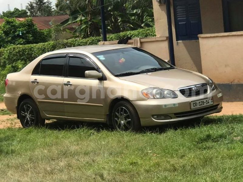 Big with watermark 48186541 2083325645067170 7362510544567271424 n