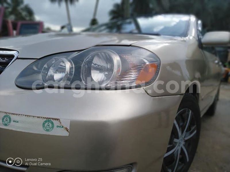 Big with watermark 48365774 2083326008400467 8610877432355880960 n