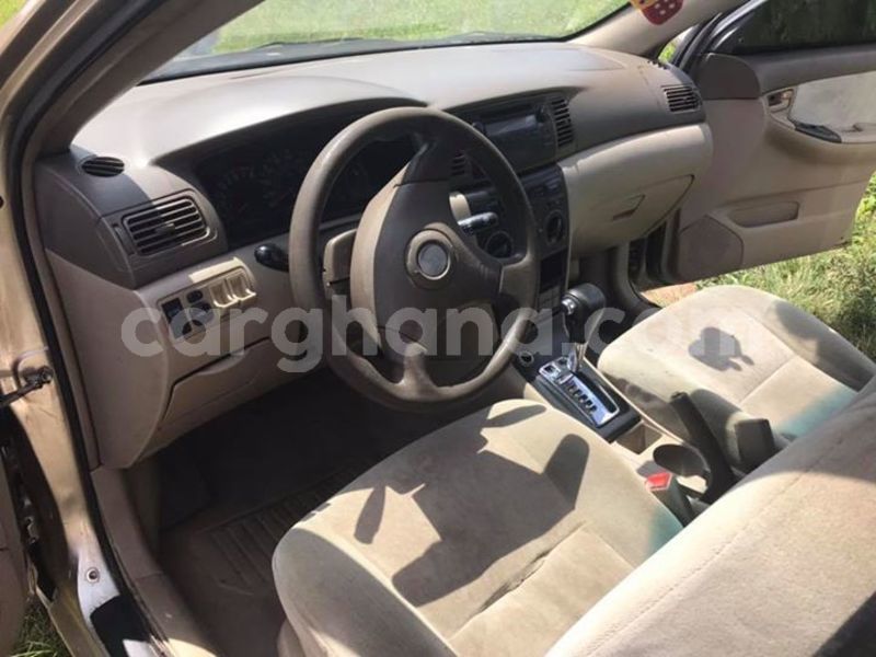 Big with watermark 48266827 2083325718400496 8594091712320634880 n