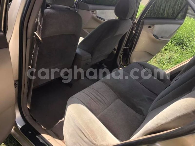 Big with watermark 48277633 2083325691733832 5556168649875652608 n