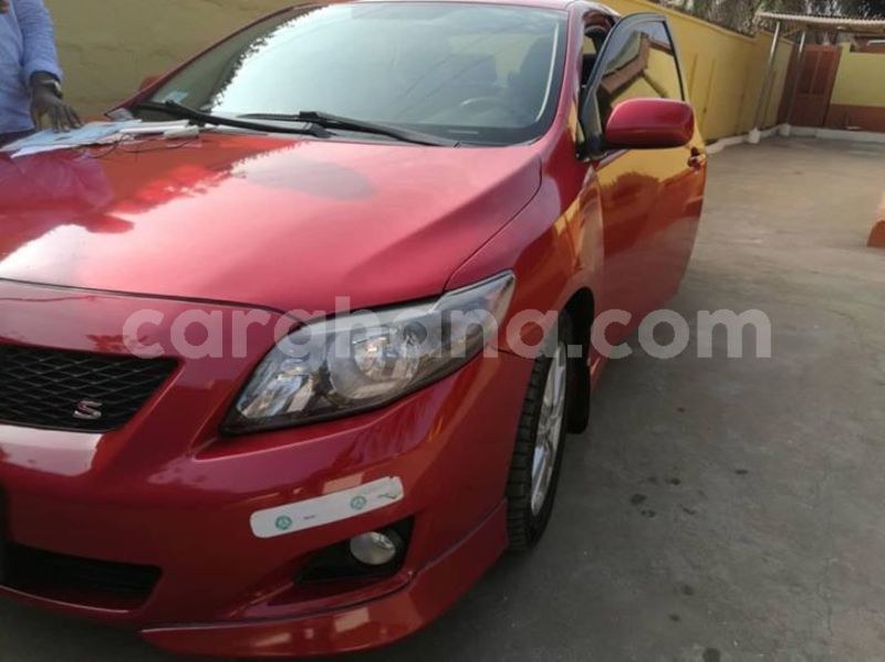 Big with watermark 48368466 2240454329307349 7692577926566379520 o