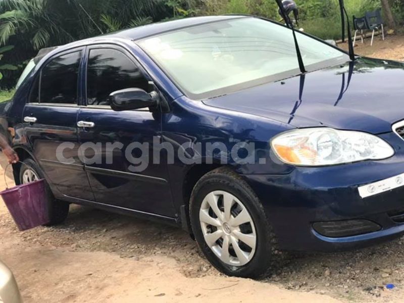 Big with watermark 48406847 2092332437499824 1126222523311063040 n