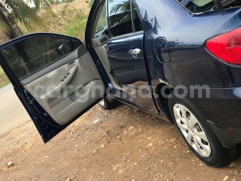 Big with watermark 48384235 2092332400833161 1690900118737256448 n