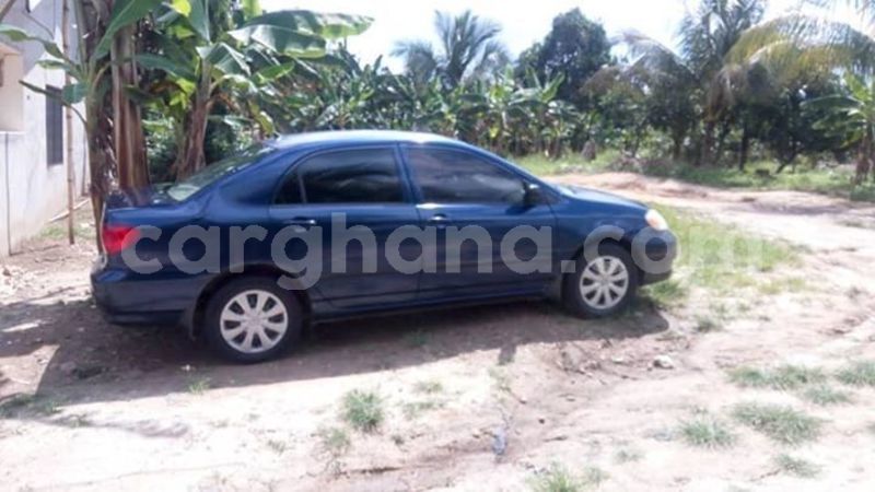 Big with watermark 48424998 2092332290833172 2307850154805297152 n