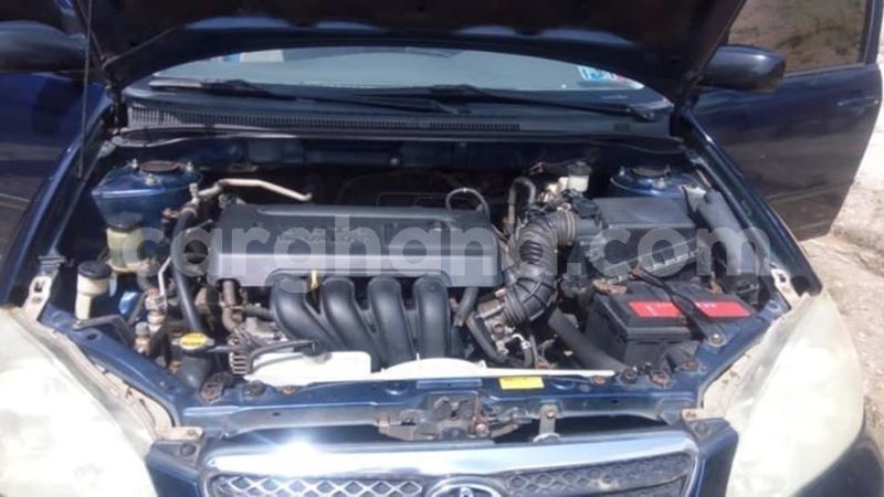 Big with watermark 48397912 2092332117499856 2517590123881693184 n