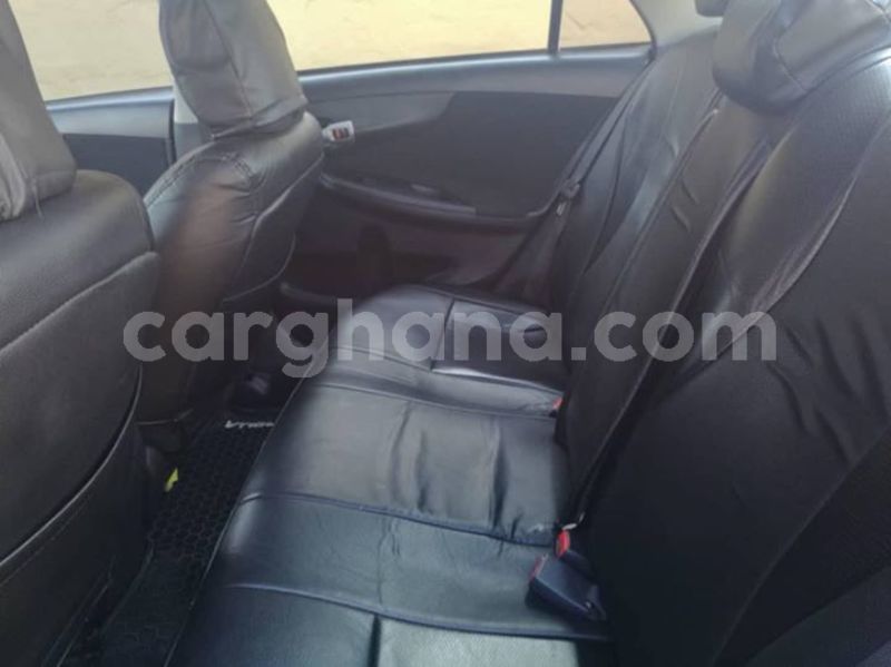 Big with watermark 48394681 2240454492640666 7368082813662265344 o