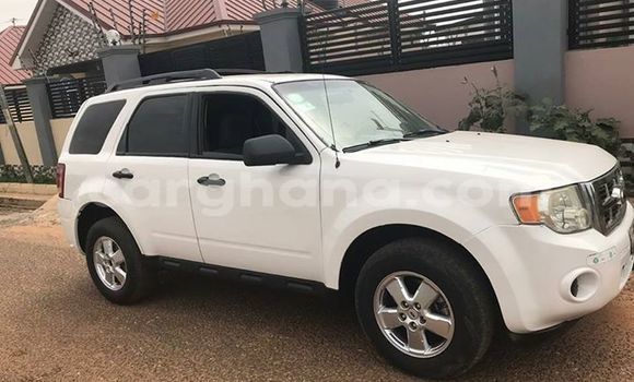 Buy Used Ford Escape White Car in Accra in Greater Accra