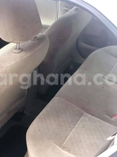 Big with watermark 48359116 2193217757466238 5991190412520325120 n