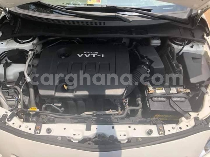 Big with watermark 48356302 2193217697466244 3013725405677879296 n