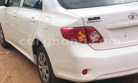 Ra Àlòkù Toyota Corolla funfun Ọkọ̀ in Tema ni Greater Accra Ra Àlòkù Toyota Corolla funfun Ọkọ̀ in Tema ni Greater Accra