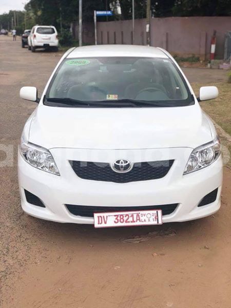 Big with watermark 48384117 2193217590799588 7165699539448365056 n