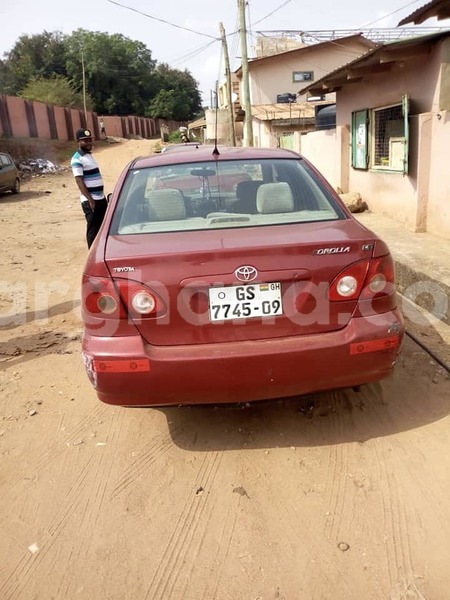 Big with watermark 49089448 2542925959081183 4705971927942955008 n