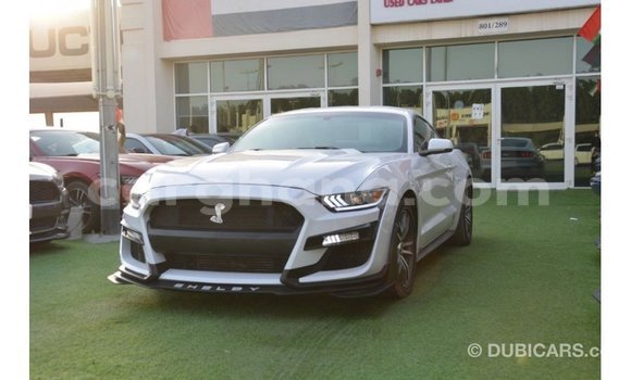 Sayi Imported Ford Mustang White Mota in Import - Dubai a Ashanti Sayi Imported Ford Mustang White Mota in Import - Dubai a Ashanti