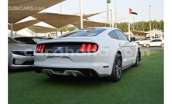 Sayi Imported Ford Mustang White Mota in Import - Dubai a Ashanti Sayi Imported Ford Mustang White Mota in Import - Dubai a Ashanti
