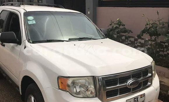 Buy Used Ford Escape White Car in Accra in Greater Accra